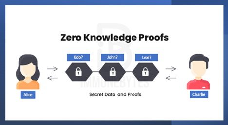 Zero Knowledge Proofs